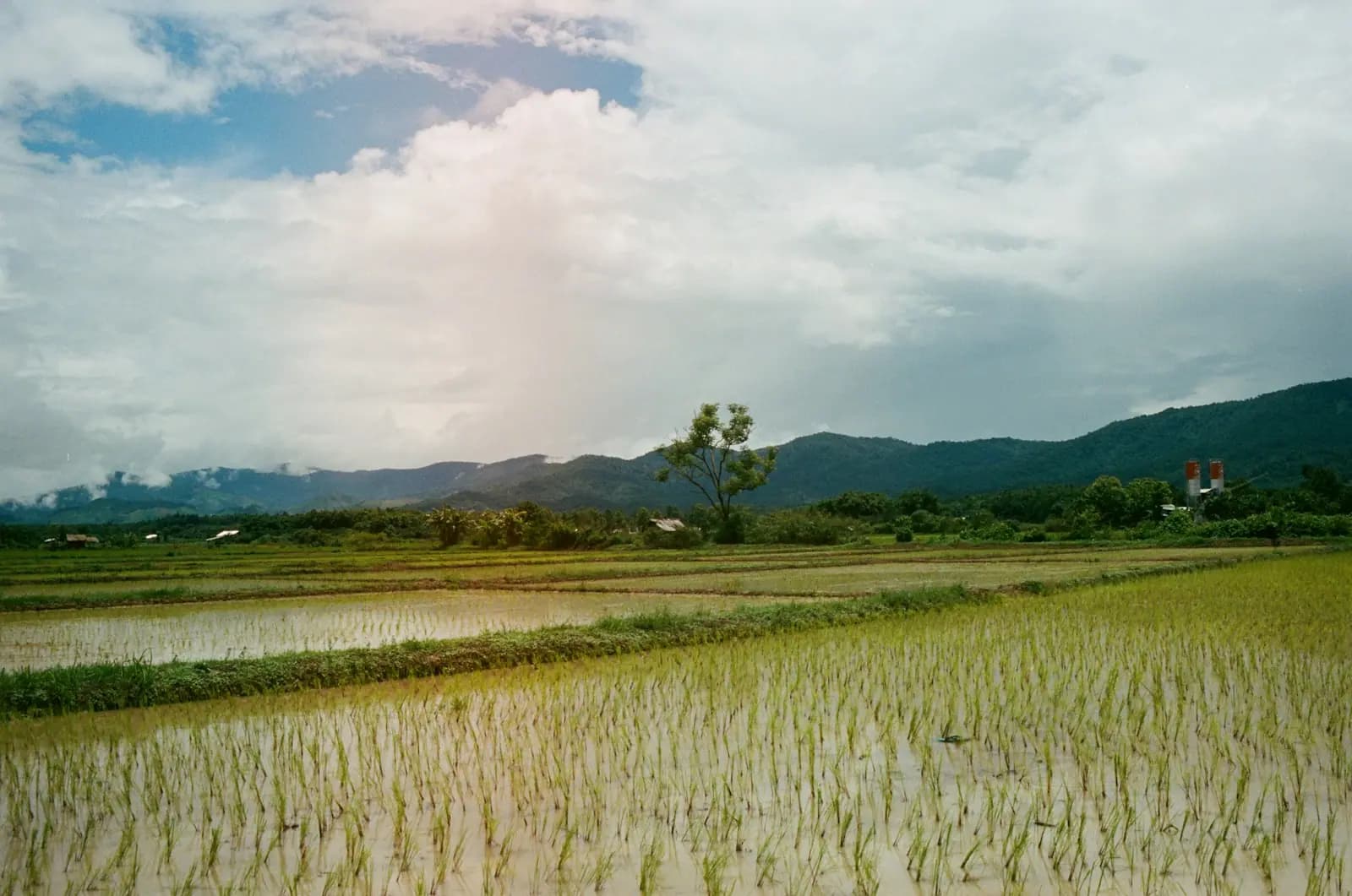 ภรรยาชาวไทยเสียชีวิตและที่ดินอยู่ในชื่อของเธอ: สามีชาวต่างชาติทำอะไรได้บ้าง — Suwanvara Law Firm